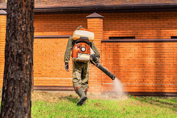Trusted Termite Control service in Apalachicola, FL - Nex Pest Control